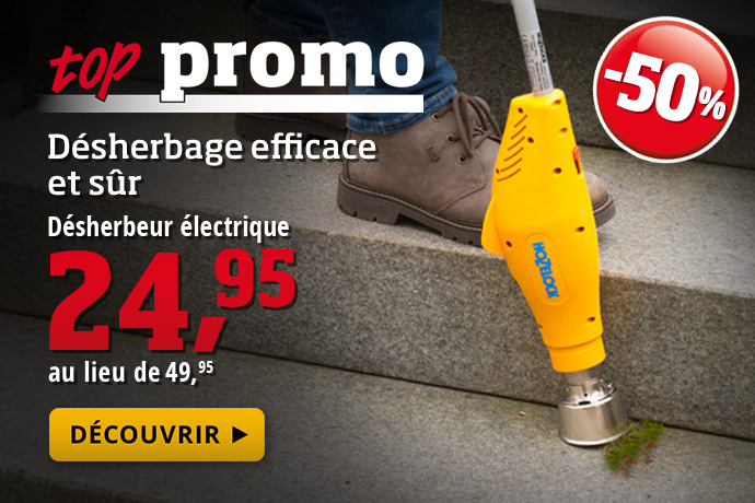 Offre spéciale - Désherbeur électrique