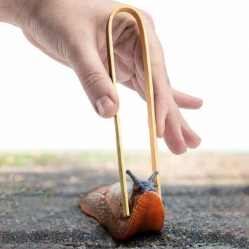 Pince à escargots en bambou