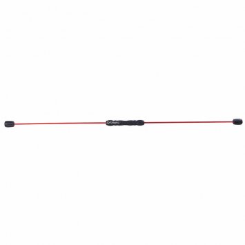 Swingstick