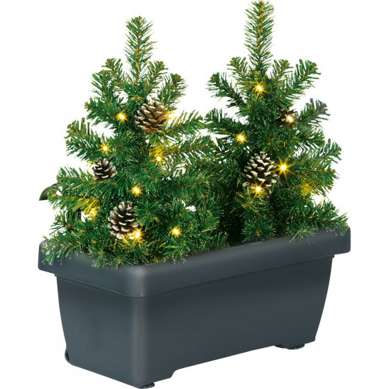 Sapins illuminés LED en jardinière 