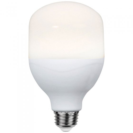 Ampoule lumière du jour XL à LED 