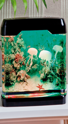 Illuminiertes Aquarium "Meduse"