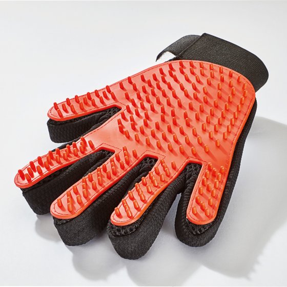 Gant-brosse