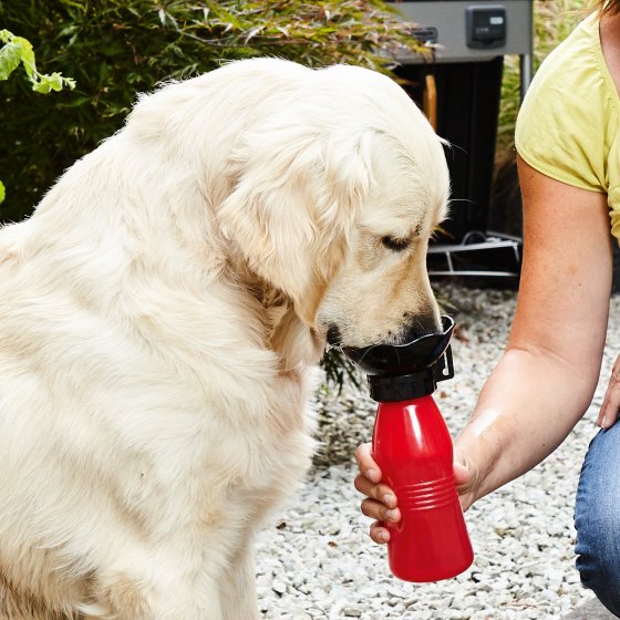 Gourde de voyage pour chien 