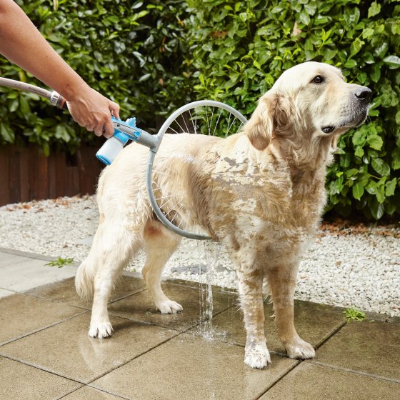 Accessoire de toilettage pour chien 360° 