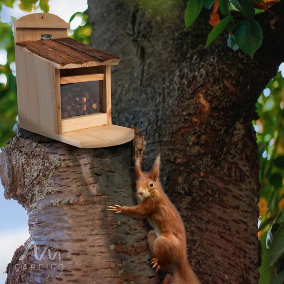 Eichhörnchen-Futterhäuschen 