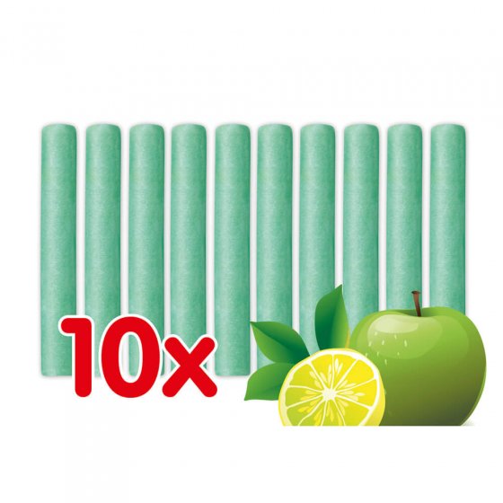 Reinigungssteine 10er-Set