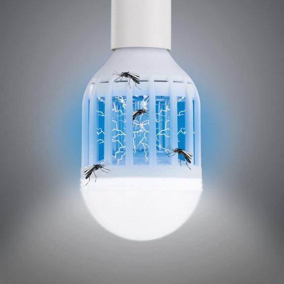 LED-Mückenlampe „2 in 1“ 