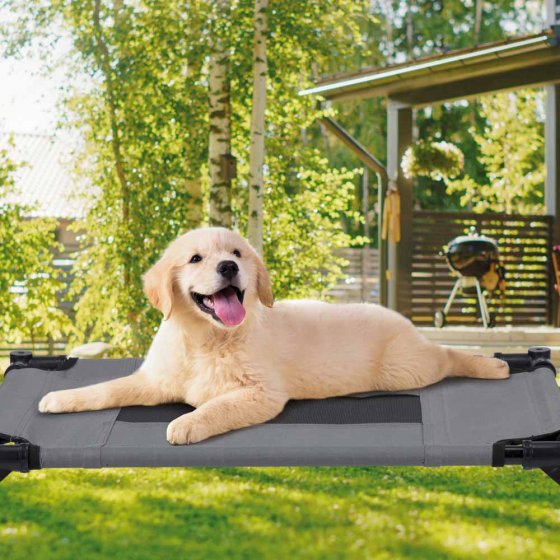 Lit pour chien
