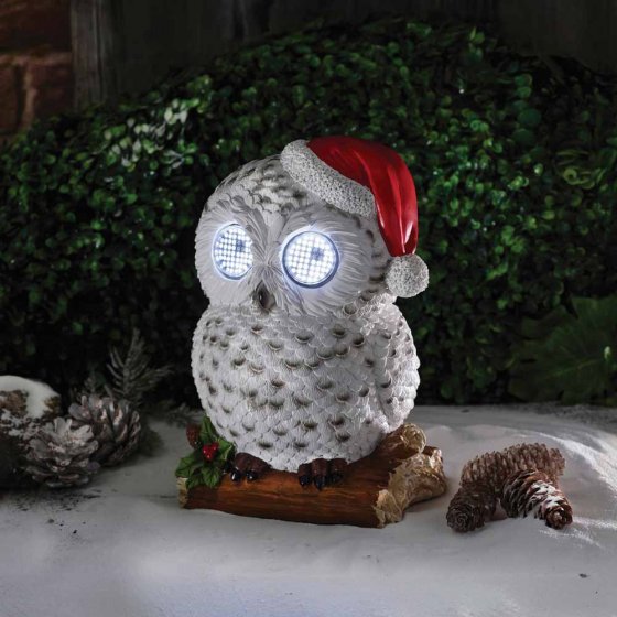 Chouette des neiges aux yeux qui bougent