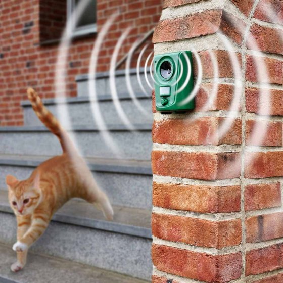 Batteriebetriebene Katzen- und Hundeabwehr 