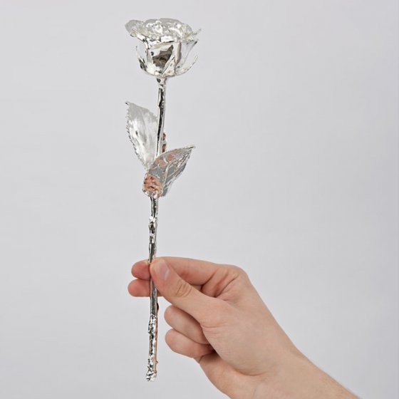 Rose véritable recouverte d'argent 