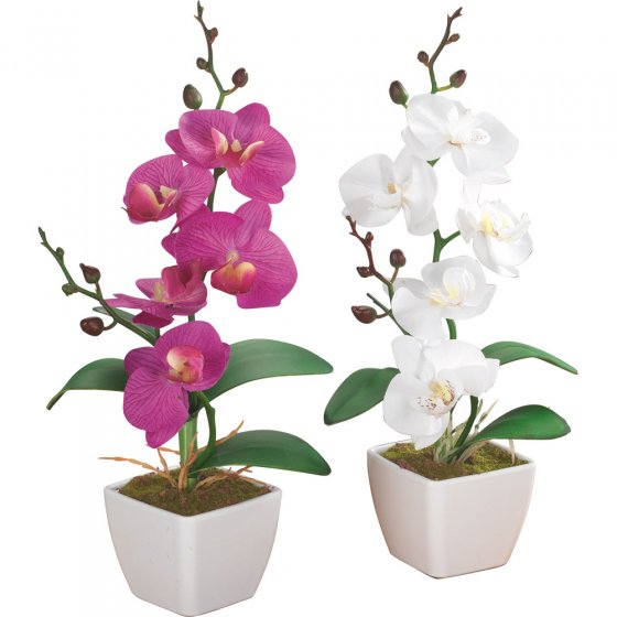 Kunstblumen Orchideen im 2er-Set 