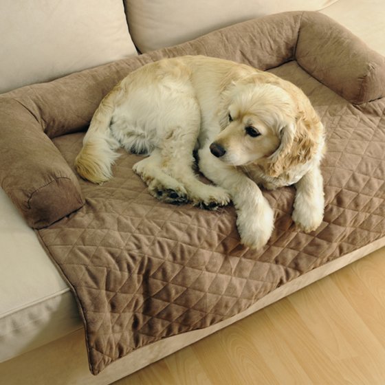 Haustier-Couch