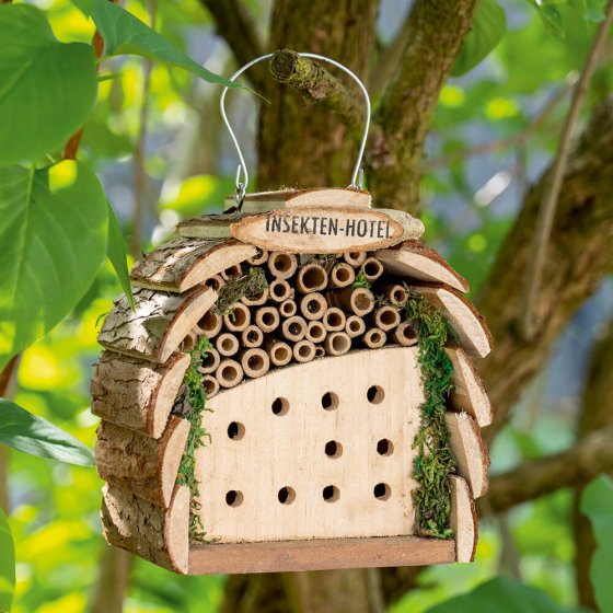 Hôtel pour abeilles et coccinelles 