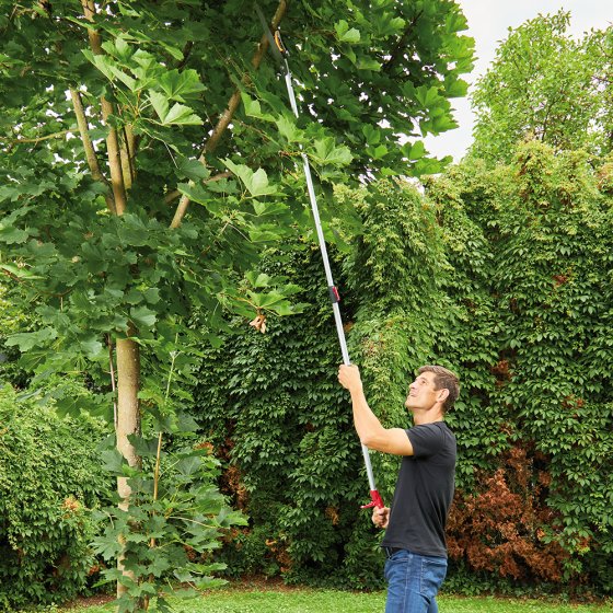 Teleskopierbare Baumschere mit Säge 