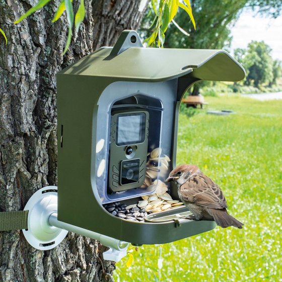 Caméra d'observation des oiseaux avec mangeoire 