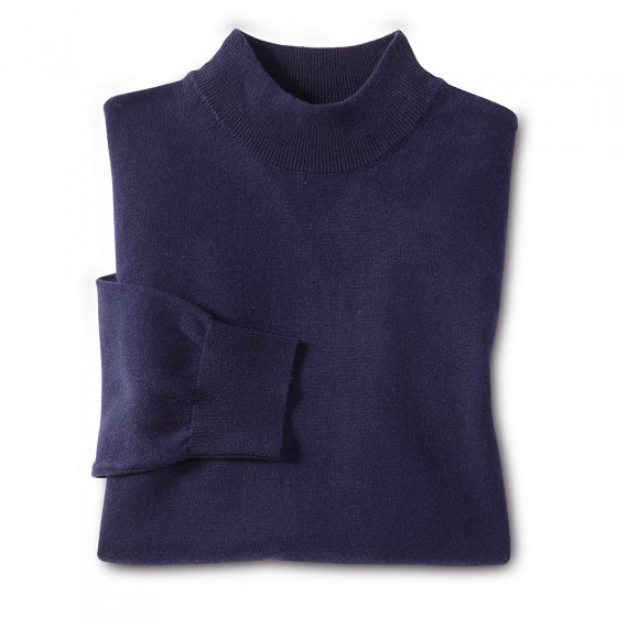 Pullover mit Stehkragen 