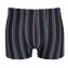 Mikrofaser-Streifenshorts 4er-Pack - 1