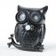 Hibou vigilant - 1