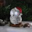 Chouette des neiges aux yeux qui bougent - 1