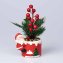 Composition florale de Noël « Santa » - 1