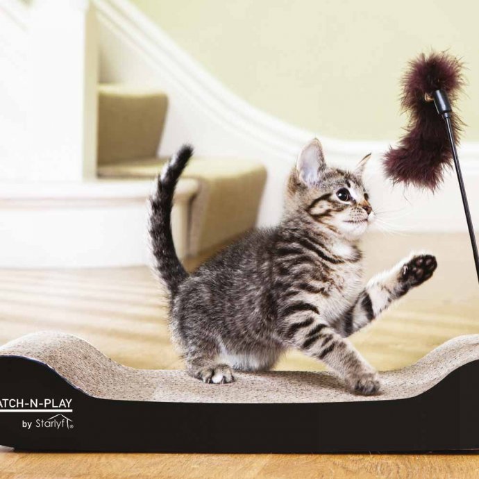 Kratzmatte mit Spielzeug