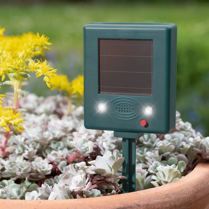 Répulsif oiseaux solaire