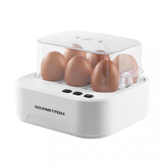 Eierkocher sprechend