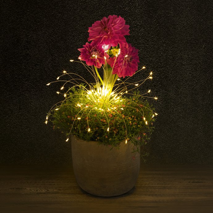 Branches lumineuses LED