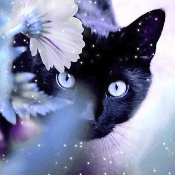 Peinture au diamant, chat