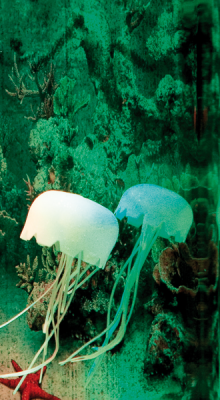 Illuminiertes Aquarium "Meduse"
