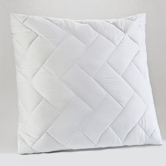 Kopfkissen (2 Stück) 