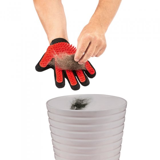 Gant-brosse