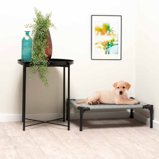 Lit pour chien