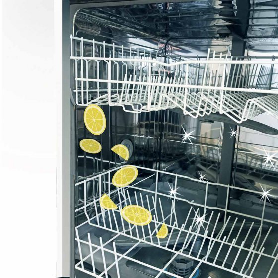 Spülmaschinen Kraft-Reiniger 