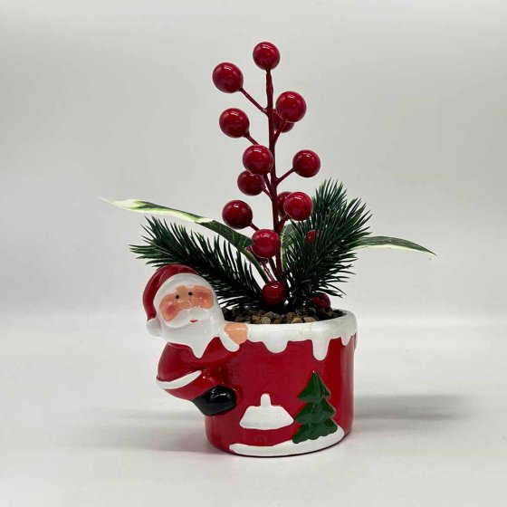 Composition florale de Noël « Santa » 