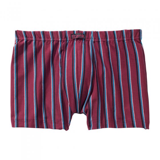 Lot de 6 boxers en coton 