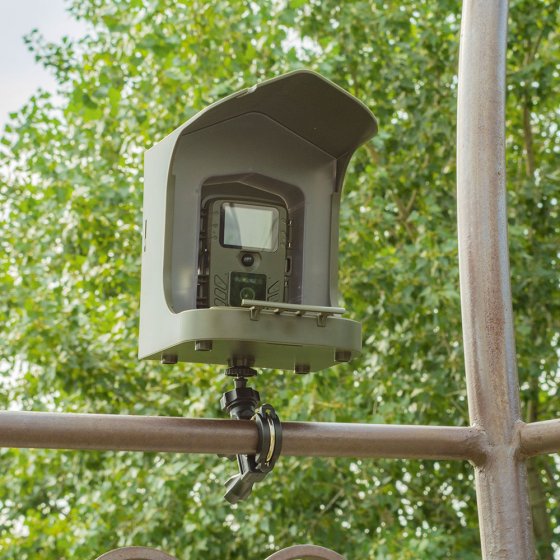 Vogelbeobachtungskamera mit Futterstelle 