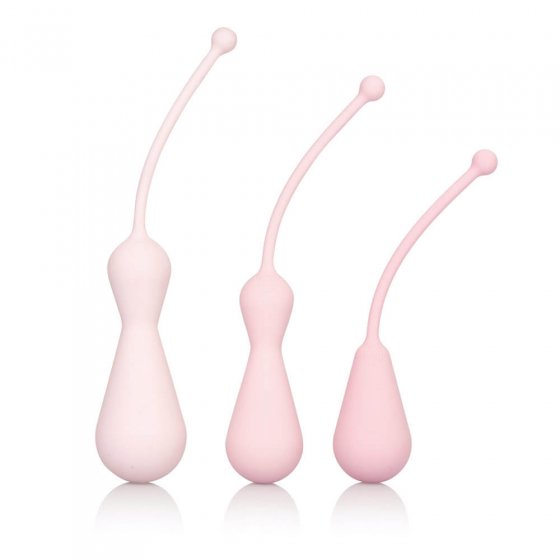 KEGEL Training Set 