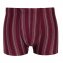 Mikrofaser-Streifenshorts 4er-Pack - 2