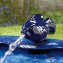 Fontaine solaire poisson - 2