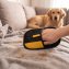 Gant pour ramasser les poils d'animaux - 2