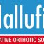 Attelle Hallufix III Classic pour hallux valgus - 2