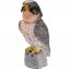 Solar-Wanderfalke mit beweglichem Kopf - 2