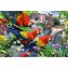 Puzzle en bois  "Île aux perroquets" - 2