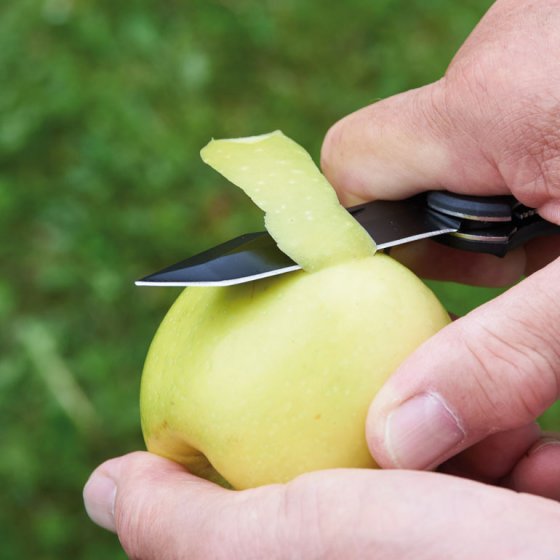 Ihr Geschenk: professionelles Outdoor-Funktionsmesser