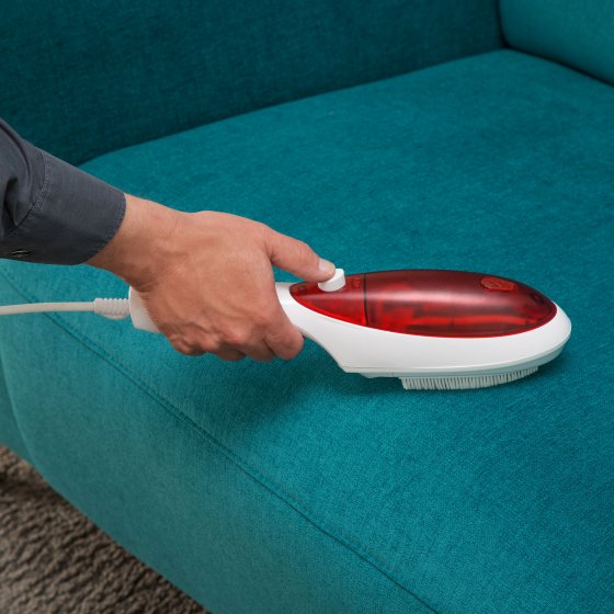 Vaporisateur manuel "clip and brush"