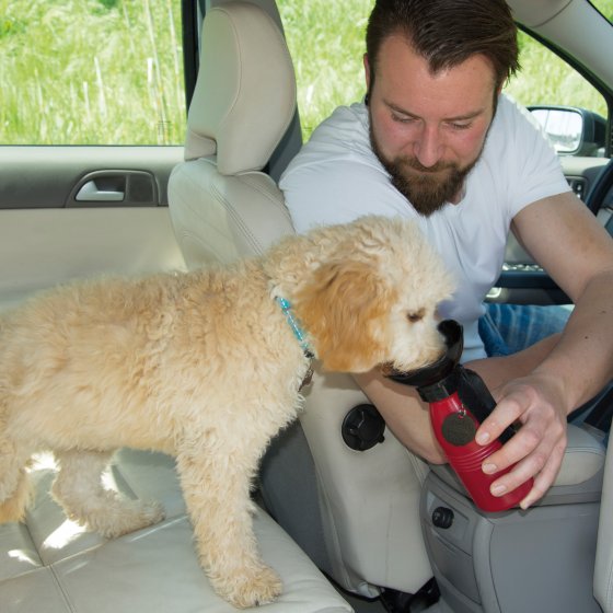 Hunde-Reisetrinkflasche 
