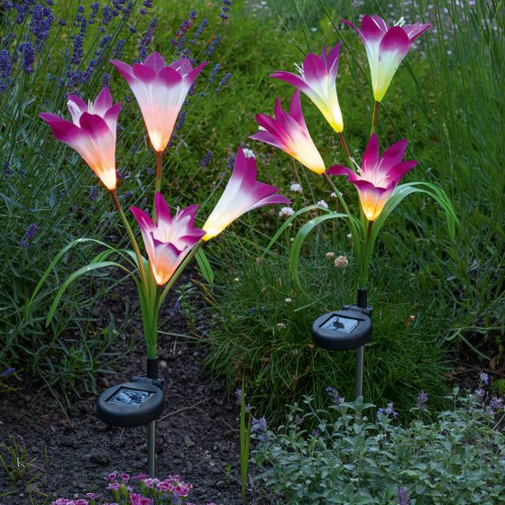 Solar LED-Blumen 2er-Set 